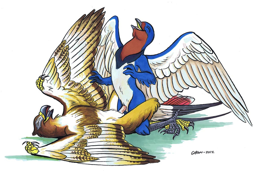 anthro anthro_on_feral avian beak bestiality bird blue_feathers brown_feathers claws duo erection eyes_closed female feral gryphon happy happy_sex hawk hawkroz_gibson interspecies kneeling lying male nude on_back open_mouth penetration penis plain_background red-tailed_hawk roz_gibson sex simple_background spread_legs spread_wings spreading straight swallow_(bird) vaginal vaginal_penetration white_background white_feathers wings