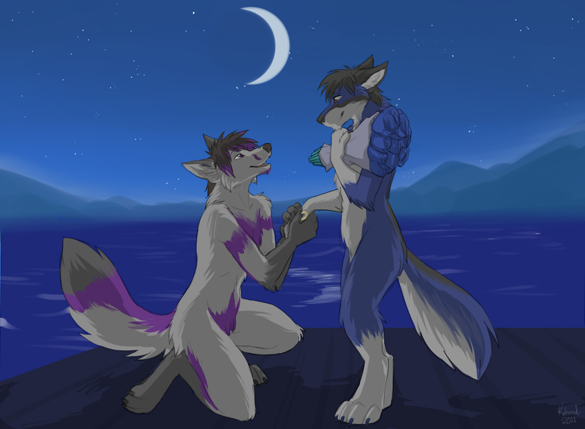 canine couple duo flower gay hair keihound kneeling love male mammal moon mountain night outside proposal smile water