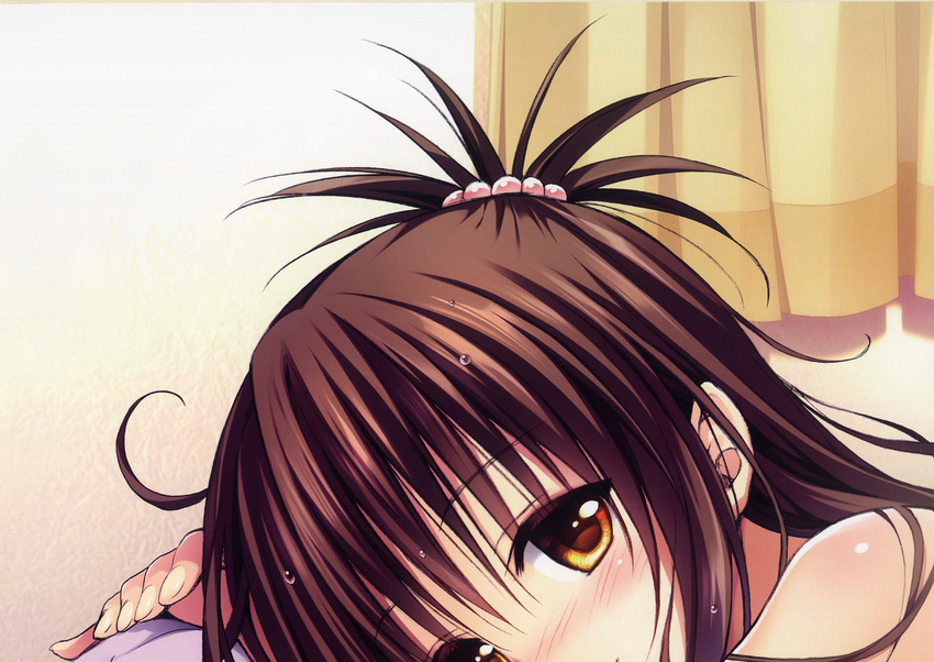 partial_scan tagme to_love_ru