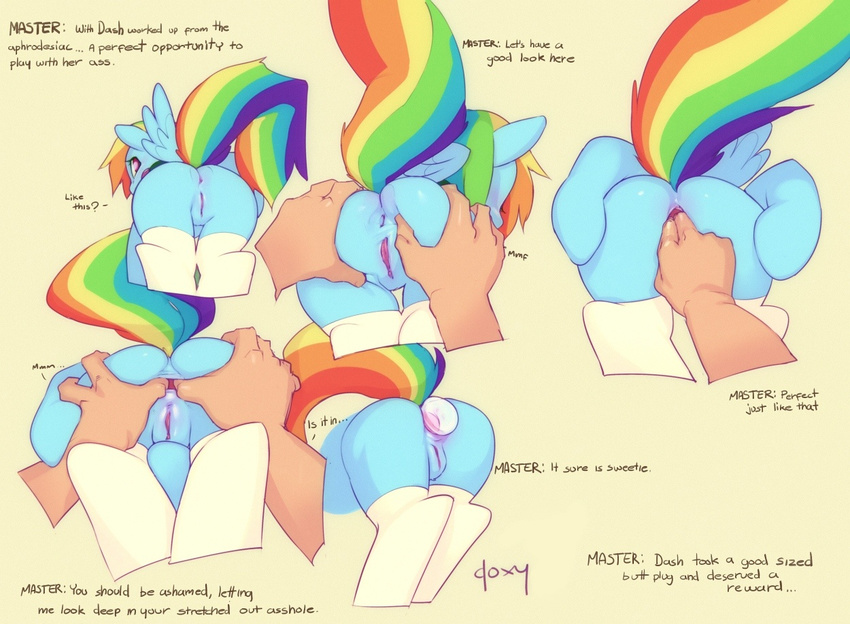 2012 anal anal_fingering anal_penetration anus butt doxy english_text equine female fingering friendship_is_magic hair horse insertion looking_at_viewer looking_back multi-colored_hair my_little_pony pegasus penetration pony pussy rainbow_dash_(mlp) rainbow_hair sex_toy stockings wings