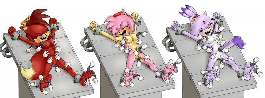 ankle_cuffs barefoot bdsm blaze_the_cat bondage bound breasts cuffs female fiona_fox foot_fetish hindpaw nipples nude paws pussy sega shackles sonic_(series) spreading table tickling wtfeather