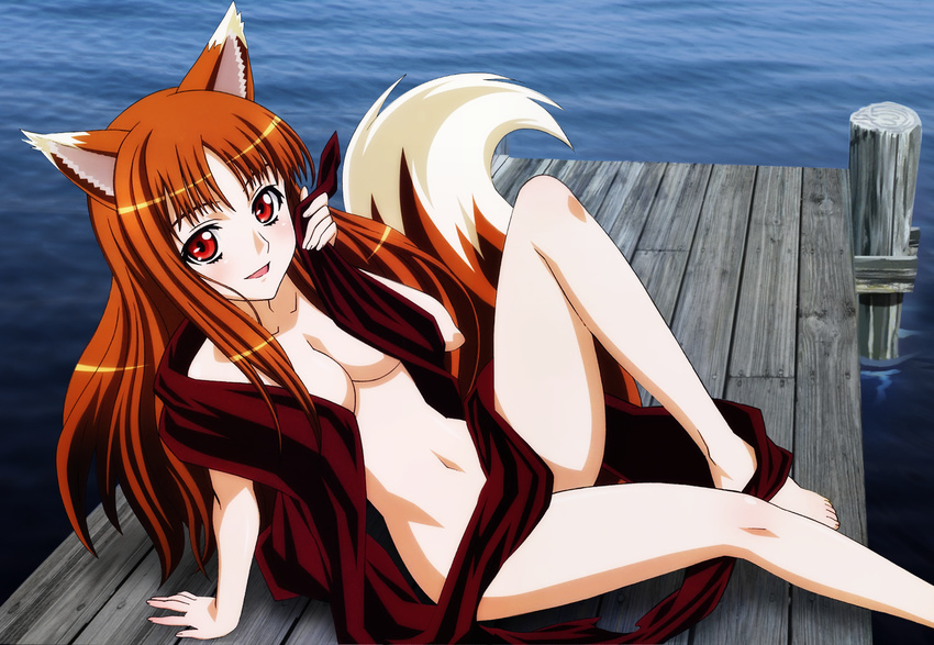 :d animal_ears arm_support barefoot blush breasts brown_hair censored cleavage convenient_censoring dock highres holo knee_up leaning_back long_hair looking_at_viewer medium_breasts navel nude open_mouth outdoors red_eyes shinohara_kenji smile solo spice_and_wolf tail water wolf_ears wolf_tail