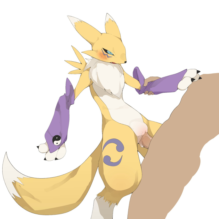 anthro arm_grab armwear blush canine clothing cum cum_in_pussy cum_inside cute_fangs digimon digimon_(species) digiphilia duo faceless_male female female_focus hi_res human human_on_anthro interspecies male male/female male_on_anthro male_penetrating mammal open_mouth penetration penis pussy renamon sex simple_background solo_focus vaginal vaginal_penetration white_background youjomodoki