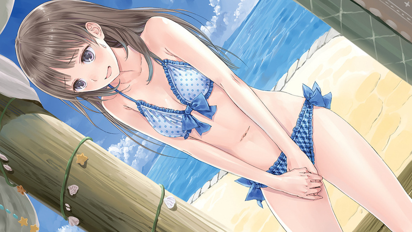 atelier_(series) atelier_totori bikini breasts brown_hair cleavage cloud covering covering_crotch day game_cg kishida_mel long_hair navel ocean official_art open_mouth plaid plaid_bikini polka_dot polka_dot_bikini polka_dot_swimsuit purple_eyes sky small_breasts solo sweatdrop swimsuit totooria_helmold water