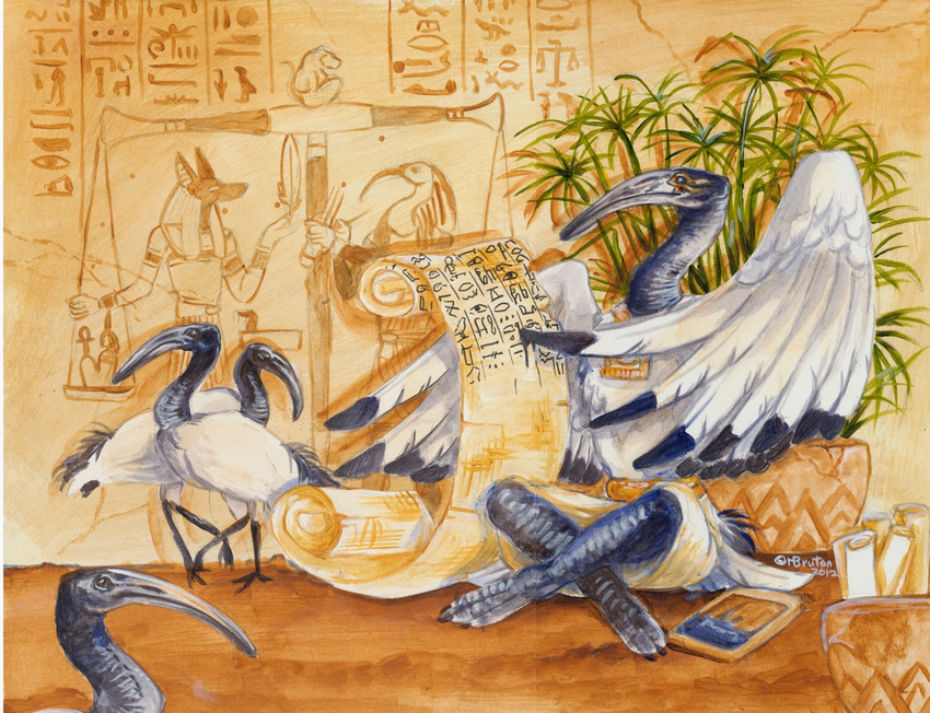 anubian_jackal anubis avian canine deity egyptian feathers heather_bruton hieroglyphics ibis jackal male mammal thoth wings writing