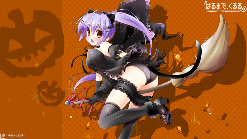 animal_ears artist_request ass bare_shoulders bat black_gloves black_legwear black_panties blush breasts broom candy cat_ears cat_tail covered_nipples detached_sleeves food garters gloves hair_ornament hairclip halloween haru_made_kururu hat highres jack-o'-lantern lace lace-trimmed_panties large_breasts lingerie long_hair miki_akio open_mouth panties ponytail purple_hair ribbon solo tail thighhighs underwear wallpaper witch witch_hat