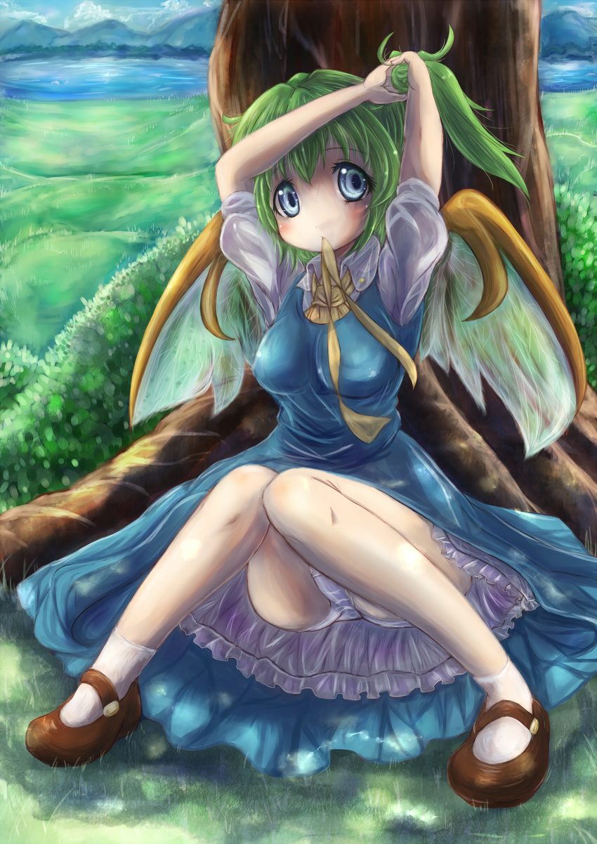 adjusting_hair arms_up ascot bad_id bad_pixiv_id blue_dress blue_eyes blue_sky breasts cloud daiyousei day dress fairy fairy_wings grass green_hair highres knees_together_feet_apart lake large_breasts looking_at_viewer mountain mouth_hold panties pantyshot pantyshot_(sitting) petticoat puffy_sleeves ribbon ribbon_in_mouth runathito shirt short_sleeves side_ponytail sitting sky solo touhou tree tying_hair underwear upskirt white_panties wings
