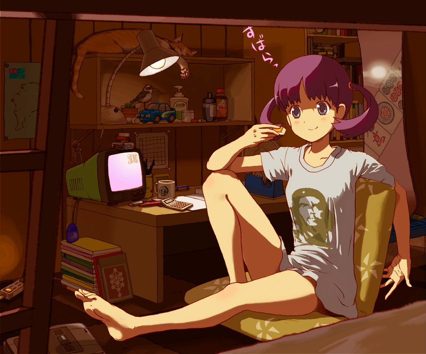 ajiyumi barefoot bird blue_eyes blush board_game book bookshelf bottomless calculator cat catchphrase che_guevara coffee_mug crt cup dispenser feet game_console glue hanada_kirame indoors kookaburra lamp mahjong mahjong_tile mug pen power_strip purple_hair saki saki_achiga-hen shirt short_hair short_twintails sitting smile soap solo starbucks super_famicom tape television tree_of_life tuvaluan_flag twintails white_shirt