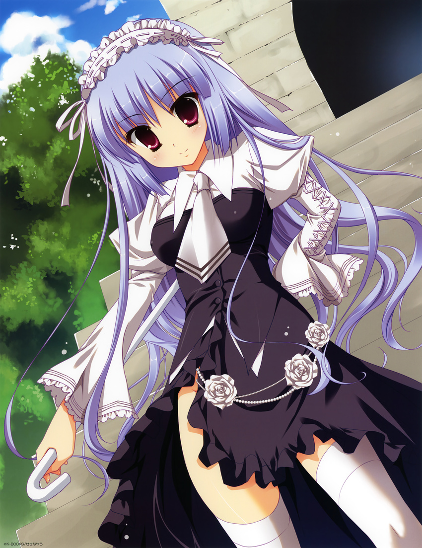 absurdres blue_hair copyright_request dutch_angle flower hairband highres image_sample lolita_fashion lolita_hairband necktie purple_eyes replaceme rose sesena_yau solo thighhighs umbrella white_flower white_legwear white_rose yandere_sample