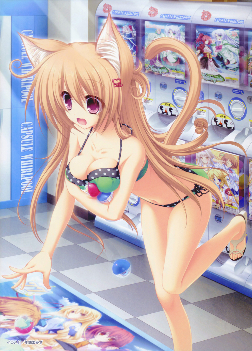 animal_ears bikini cleavage mikagami_mamizu neko_koi nekomimi ryuudou_misaki swimsuits tail whirlpool