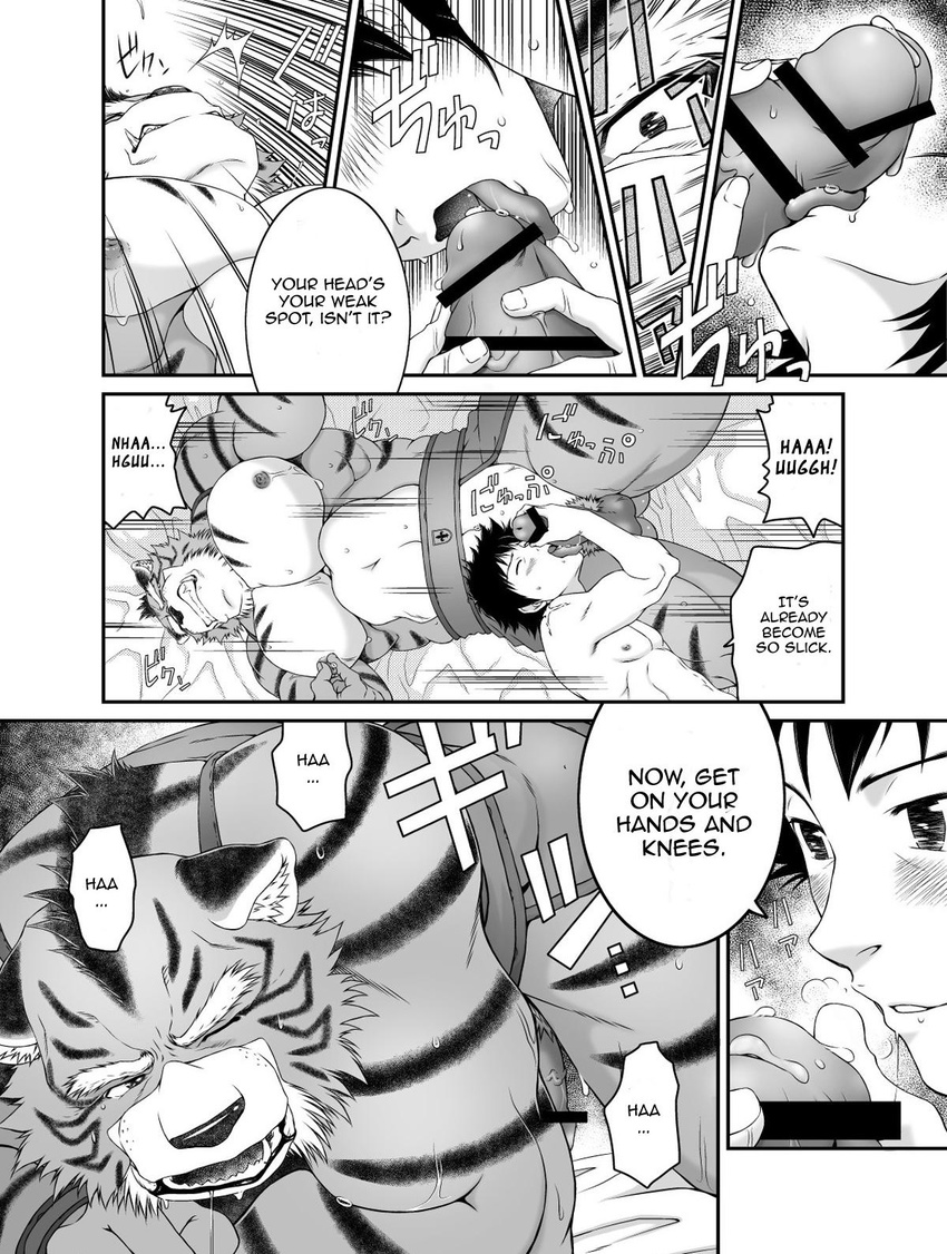 balls beastmen_forest bed biceps big_muscles blush censored codpiece comic dialog dialogue feline gay human interspecies licking male mammal muscles neyukidou pecs penis precum text tiger toned tongue translated