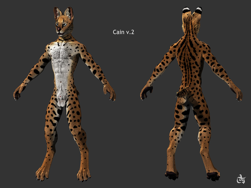 4_toes anthro balls black_fur blue_eyes butt cain chest_tuft claws digitigrade feline flaccid fur male mammal nude open_mouth orange_fur pawpads penis plain_background pubes red_penis serval sheath short_tail simple_background solo spots standing stripes taj toe_claws tuft white_fur