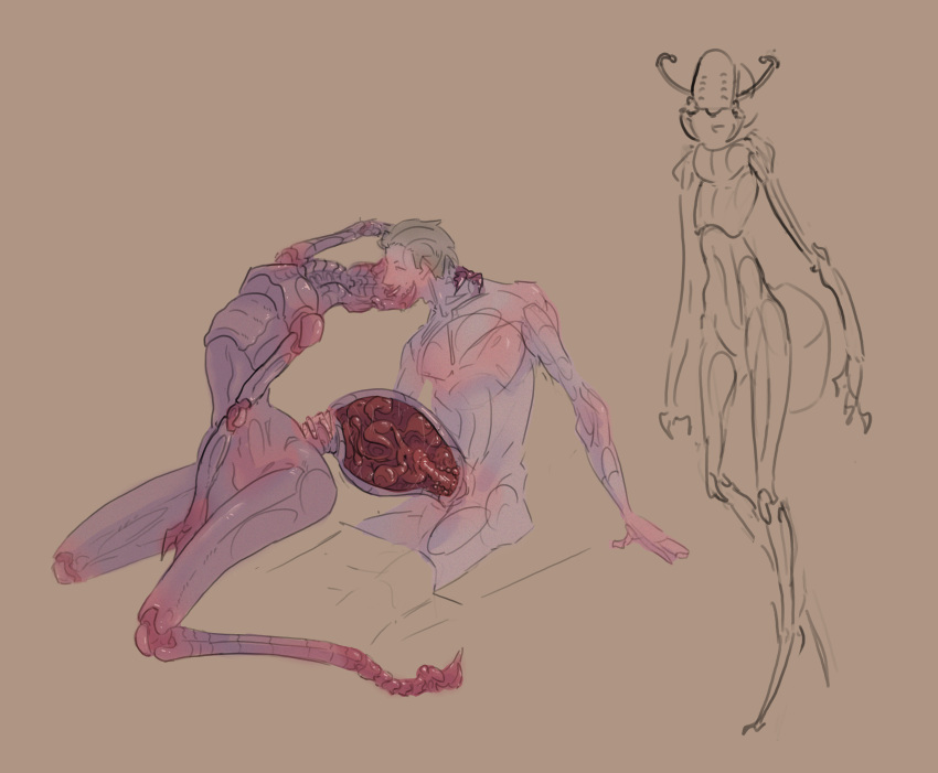 2_toes 3_fingers 5_fingers absurd_res ambiguous_gender antennae_(anatomy) anthro arthropod arthropod_abdomen arthropod_abdomen_penetration blush brown_hair claw_fingers claws duo exoskeleton feet female female_anthro fingers from_behind_position hair hi_res human insect internal interspecies kissing larger_anthro larger_female male male/ambiguous male_human male_on_anthro mammal penetration penile penile_penetration pink_body purple_body sex size_difference skinnedteeth smaller_human toe_claws toes upside_down_kiss white_body x-ray_view