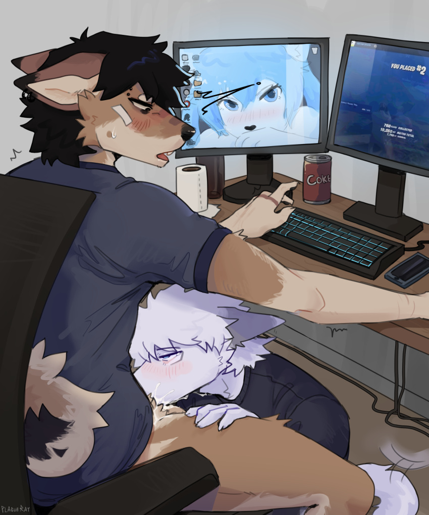 absurd_res anthro arctic_fox bodily_fluids canid canine canis computer cum cum_in_mouth cum_inside domestic_dog duo ejaculation electronics fellatio fox furniture gaming genital_fluids gustav(plaguerat) hi_res kevin(plaguerat) male male/male mammal oral penile plaguerat sex shiba_inu spitz table true_fox under_table