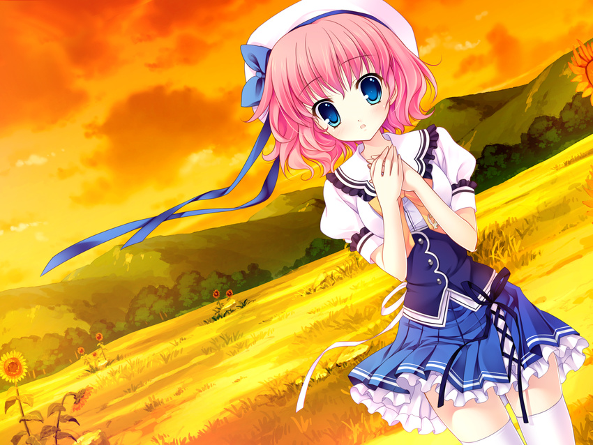 blue_eyes clouds flowers game_cg hat himezono_risa landscape mitha nanawind pink_hair possible_duplicate scenic seifuku short_hair sky sunflower sunset thighhighs yuyukana