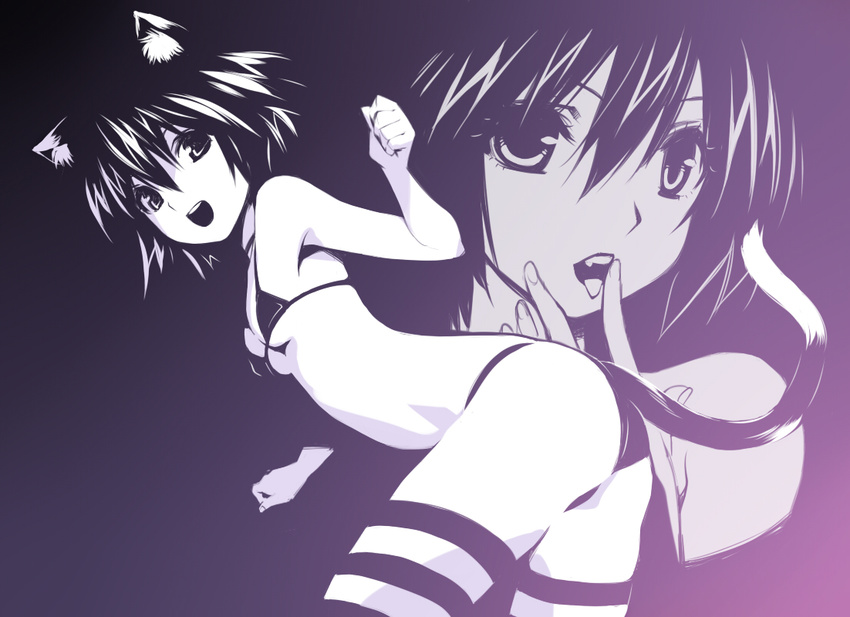 :d animal_ears bare_shoulders bikini breasts cat_ears cat_tail gradient gradient_background groin hirano_katsuyuki monochrome open_mouth original projected_inset purple purple_background short_hair small_breasts smile solo striped striped_legwear swimsuit tail thighhighs tongue