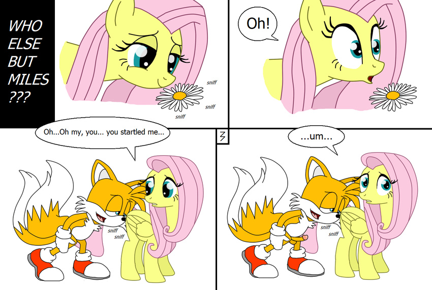 anthro canine comic couple crossover duo equine erection female feral fluttershy_(mlp) fox friendship_is_magic horse male mammal miles_prower my_little_pony pegasus penis pony sega sniffing sonic_(series) wings