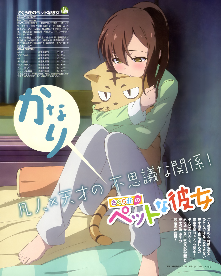 absurdres aoyama_nanami barefoot bed blush brown_hair comptiq doll doll_hug feet fujii_masahiro highres knees_up long_hair magazine_scan official_art pajamas pillow ponytail sakura-sou_no_pet_na_kanojo scan sitting solo stuffed_animal stuffed_tiger stuffed_toy tiger translation_request yellow_eyes