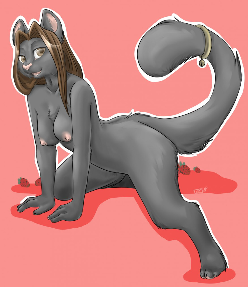 bell breasts brown_eyes brown_hair cat claws digitigrade feline female fur grey_fur hair hindpaw iko looking_at_viewer mammal nipples nude paws plain_background solo toes