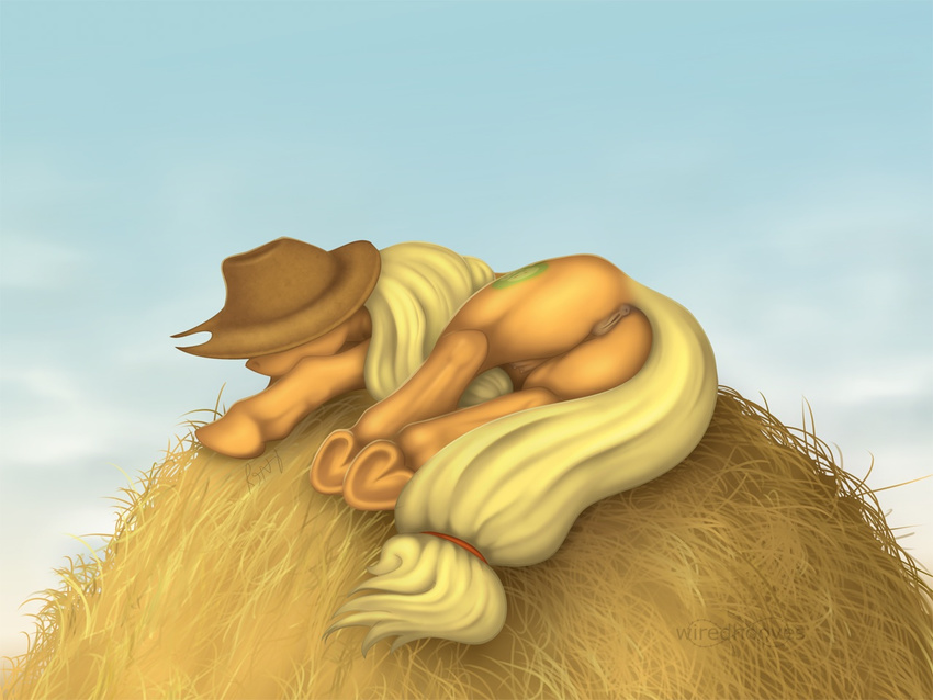 anatomically_correct anatomically_correct_pussy animal_genitalia applejack_(mlp) blonde_hair cowboy_hat cutie_mark equine equine_pussy female feral friendship_is_magic fur hair hat hay hooves horse lying mammal my_little_pony on_side orange_fur outside pony pussy signature solo teats wiredhooves