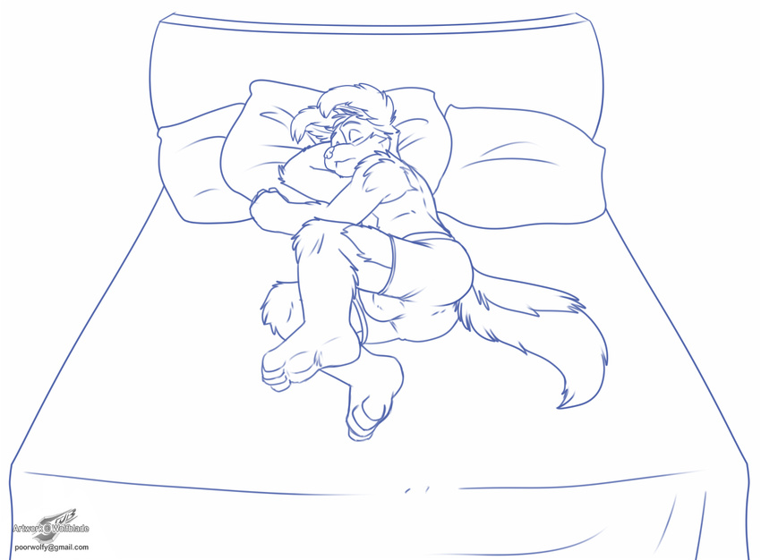 bulge canine jesse male mammal pillow sleeping solo underwear wolfblade