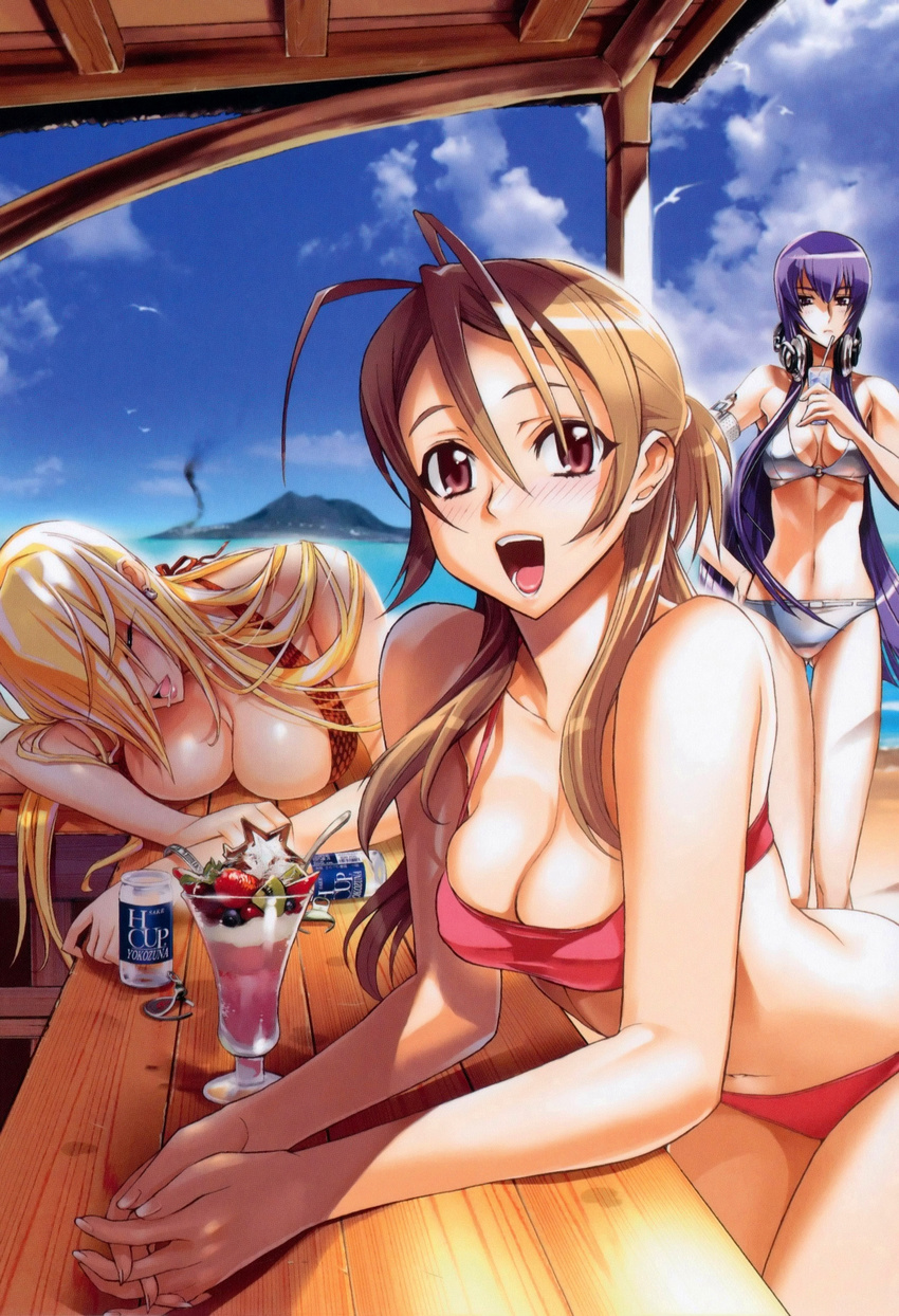 :d absurdres alcohol antenna_hair armband beach beer bent_over bikini bird blonde_hair breast_press breasts brown_hair busujima_saeko can cleavage closed_eyes cloud day dessert drink drinking_straw earrings food hand_on_hip hands_clasped headphones highres highschool_of_the_dead ice_cream jewelry large_breasts lipstick long_hair makeup marikawa_shizuka miyamoto_rei multiple_girls official_art open_mouth outdoors own_hands_together pink_eyes purple_hair saliva satou_shouji scan seagull sky sleeping smile standing sundae swimsuit thigh_gap very_long_hair water