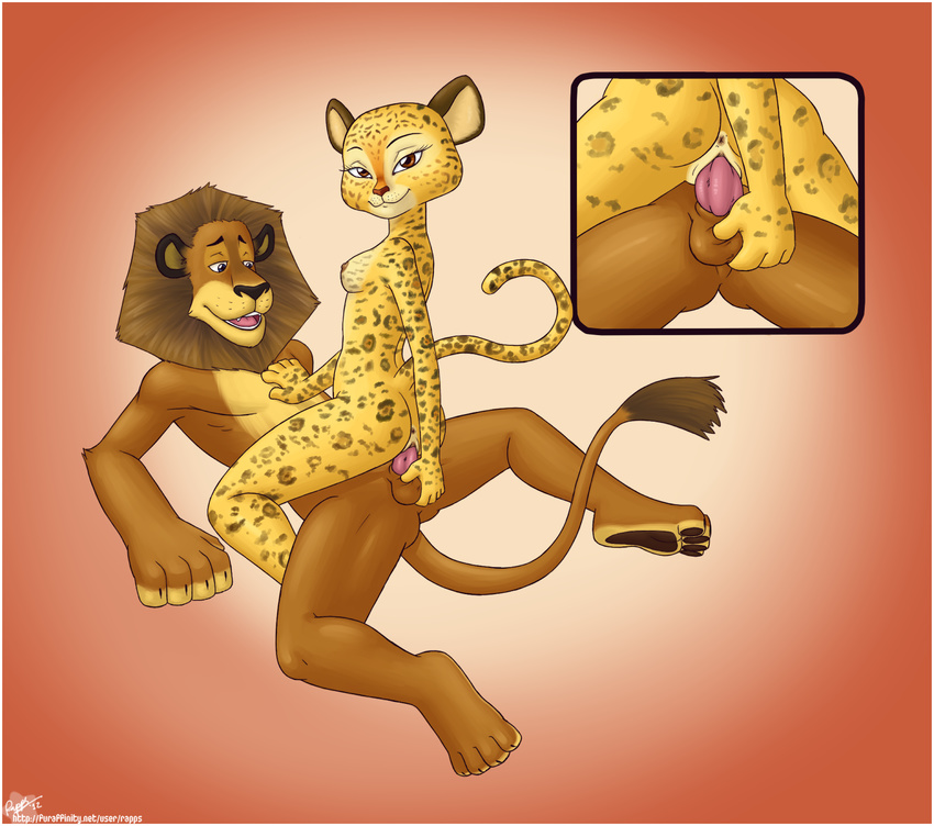 alex_(madagascar) alex_the_lion amber_eyes anthro ball_fondling balls balls_fonding blue_eyes breasts close-up dreamworks duo ecstasy feline female fondling gia gia_the_jaguar interspecies jaguar lion madagascar male mammal penis rapps sex simple_background smile straight vaginal