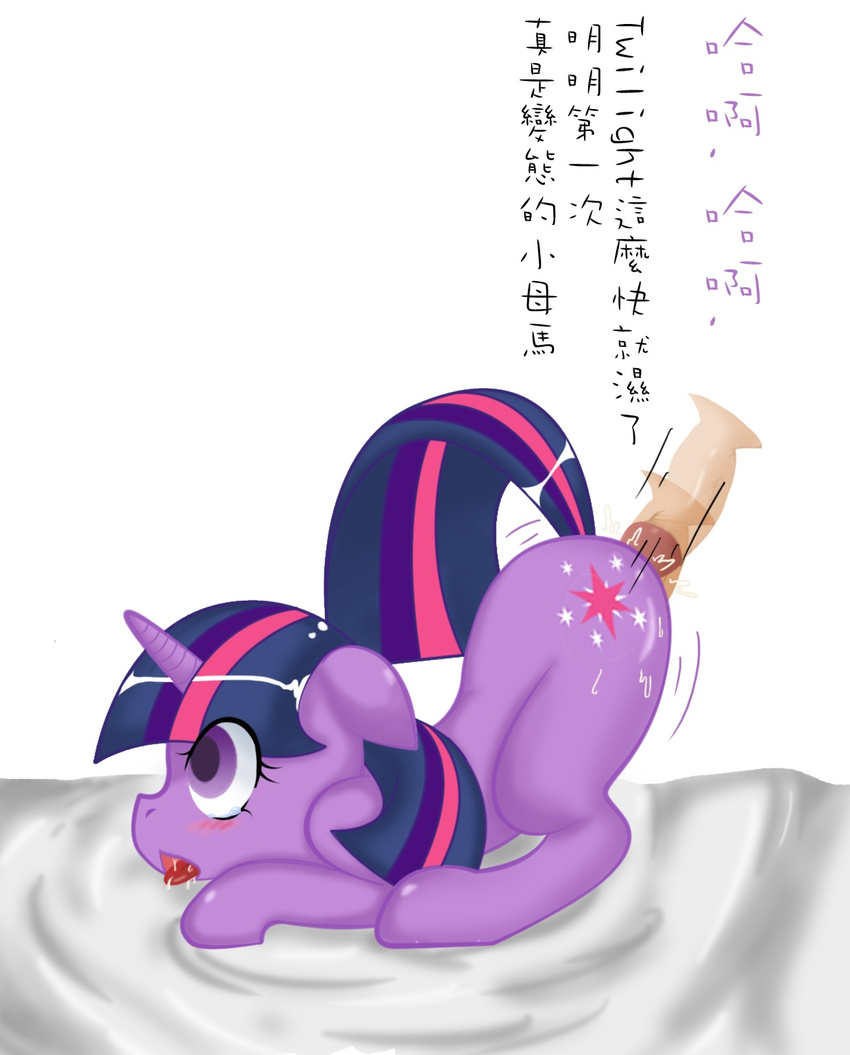 bent_over bestiality blush cutie_mark disembodied_penis drooling duo equine female feral friendship_is_magic fur hair hi_res horn horse human interspecies male mammal multi-colored_hair my_little_pony penetration penis pony purple_eyes purple_fur saliva sd_(artist) sex straight text translated twilight_sparkle_(mlp) unicorn vaginal vaginal_penetration