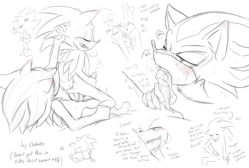 anal blush cum cum_in_mouth cum_inside fellatio gay hedgehog male masturbation open_mouth oral oral_sex orgasm penetration penis sega sex shadow_the_hedgehog sonic_(series) sonic_the_hedgehog