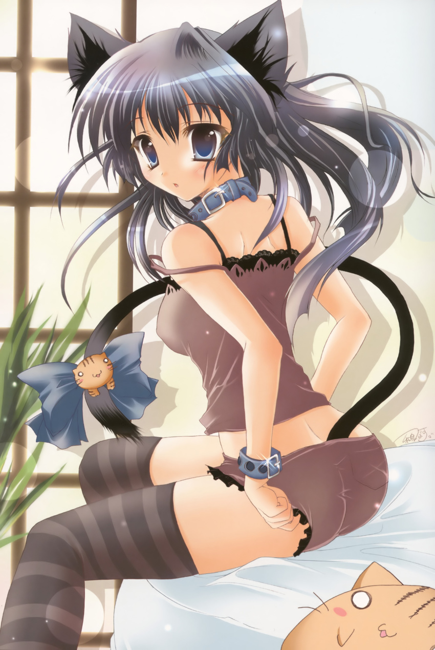 absurdres animal_ears bare_shoulders blue_eyes blush cat_ears cat_tail collar copyright_request highres izumi_tsubasu long_hair open_mouth scan silver_hair sitting solo tail thighhighs