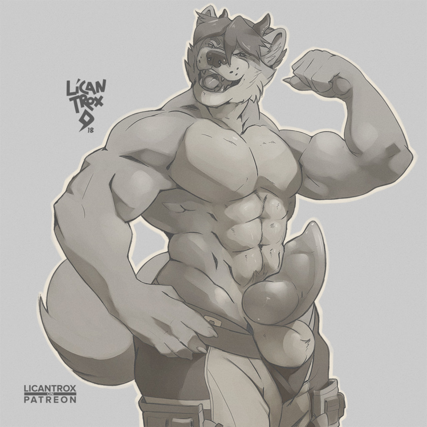 animal_genitalia animal_penis anthro balls canid canine canine_penis canis clothed clothing erection flexing knot licantrox male mammal monochrome muscular muscular_male open_mouth penis smile solo standing topless wolf