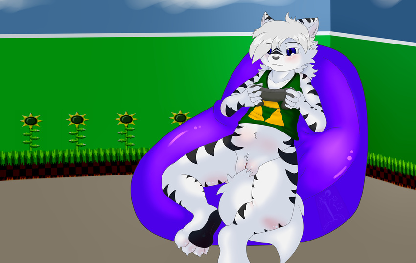 anthro bean_bag blue_eyes bottomless breasts canine clothed clothing controller female fluffy hair half-dressed hedgehog hindpaw mammal mishelle navel paws pussy sega solo sonic_(series) sonic_the_hedgehog the_legend_of_zelda twifoxy video_games wide_hips