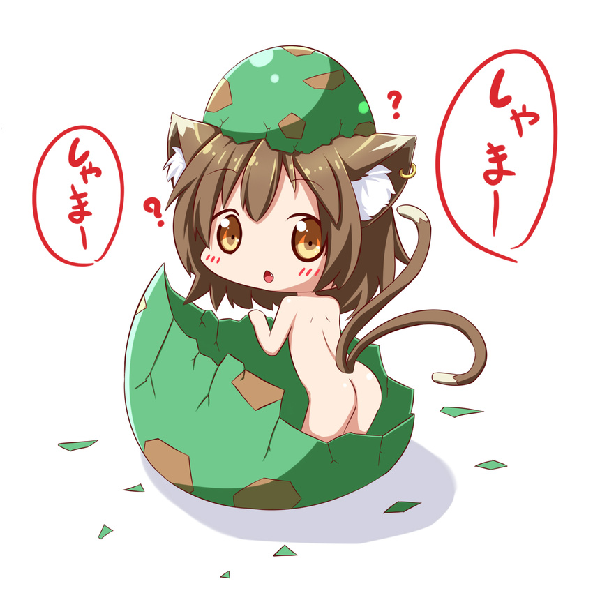 ? animal_ears ass brown_eyes brown_hair cat_ears cat_tail chen egg eggshell hatching highres jewelry looking_at_viewer makuran nude object_on_head short_hair simple_background single_earring solo tail touhou translated white_background