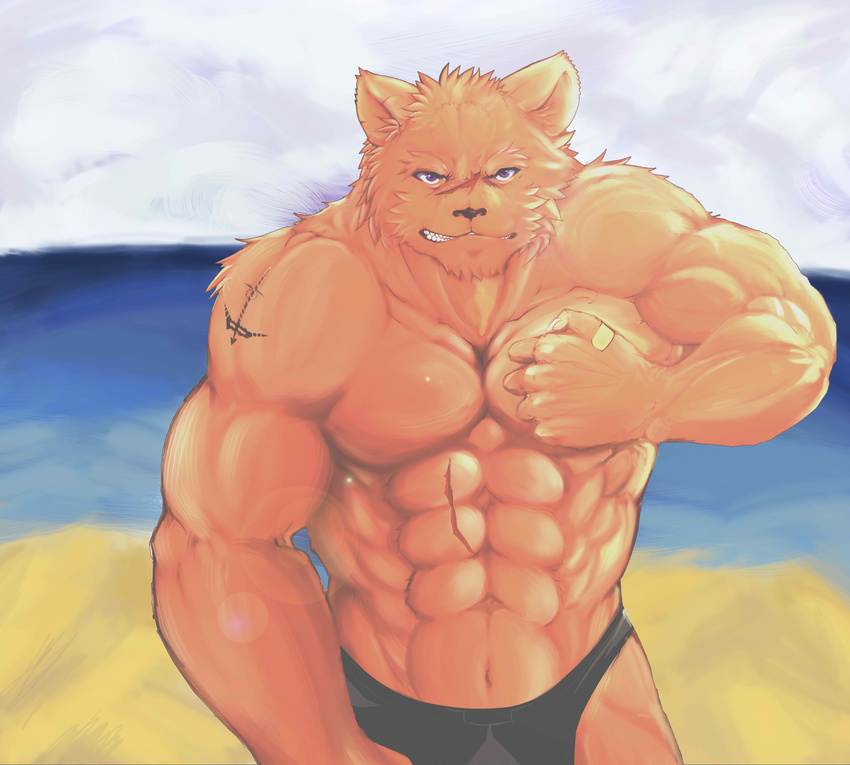 absurd_res beach biceps brown_fur claws clenched_teeth clothed clothing fangs fur half-dressed hi_res male muscles pec_grasp pecs purple_eyes sand scar sea seaside solo speedo standing swimsuit tattoo teeth topless underwear unknown_artist water