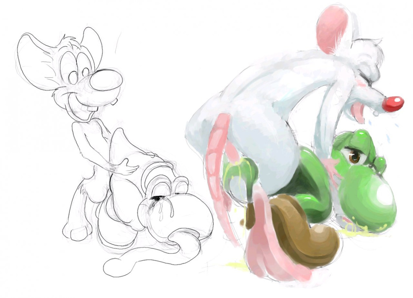 animaniacs cossover pinky_and_the_brain super_mario_bros. yoshi