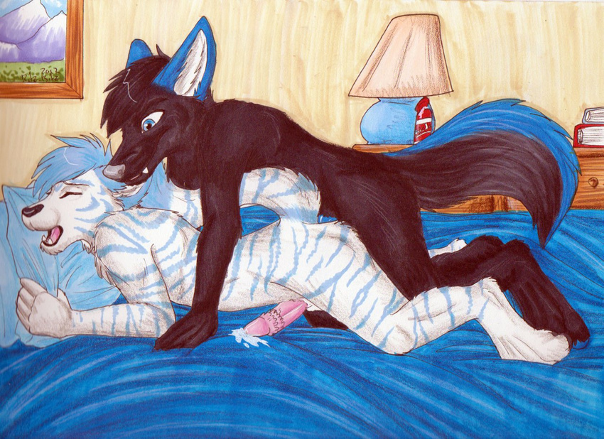 anal anal_penetration anthro bed bedroom black_fur black_hair black_nose blue_eyes blue_fur blue_hair blue_penis canine cum cum_while_penetrated digitigrade doggy_position doggystyle duo erection eyes_closed feline from_behind fur gay grey_nose hair hands-free inside interspecies jankiba lamp male mammal nude on_bed open_mouth orgasm painting pawpads penetration penis pillow raised_tail ritz_bitz ritzbitz sex storm-tiger stripes teeth tiger tongue white_fur white_tiger wolf