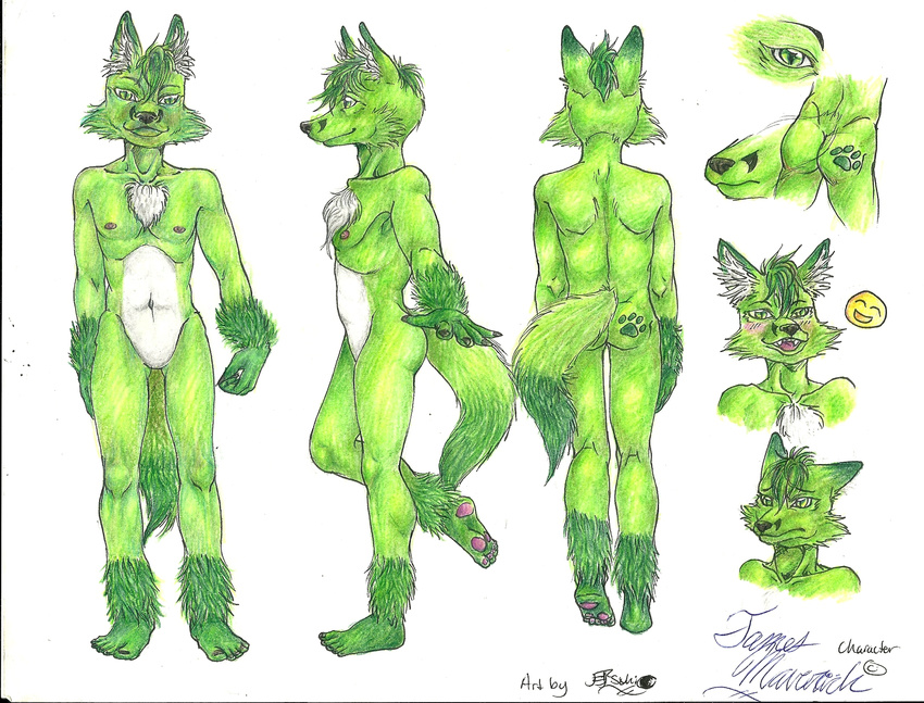 butt canine chest_tuft fox fur green_eyes green_fur invalid_background invalid_color james_maverick james_maverick(character) male mammal model_sheet plain plain_background sheet smile solo tuft white white_fur