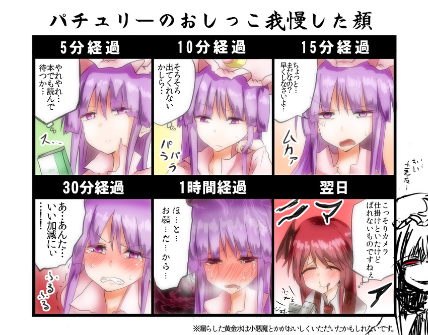 anger_vein bat_wings blush book camera chart closed_eyes crescent hat have_to_pee head_wings koakuma long_hair multiple_girls patchouli_knowledge purple_eyes purple_hair red_eyes red_hair smile sweatdrop takorice tears touhou translated trembling wings