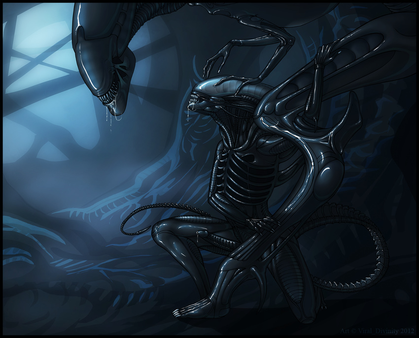 2012 alien alien_(franchise) black_body black_penis broodmother claws drooling exoskeleton female insect long_tail male penis precum saliva shiny size_difference tail_blade unknown_artist xenomorph