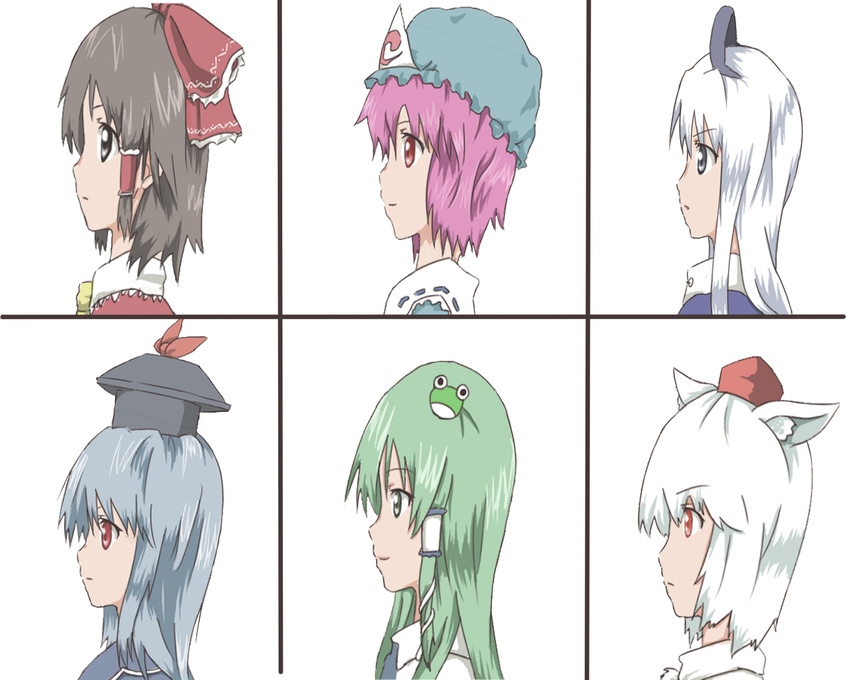 animal_ears bangs blue_hair bow brown_hair frog_hair_ornament green_eyes green_hair grey_eyes group_picture group_profile hair_bow hair_ornament hair_tubes hakurei_reimu hat highres inubashiri_momiji kamishirasawa_keine kochiya_sanae lineup long_hair multiple_girls pink_hair profile red_eyes saigyouji_yuyuko shirotaki short_hair smile snake_hair_ornament tokin_hat touhou triangular_headpiece white_hair wolf_ears yagokoro_eirin