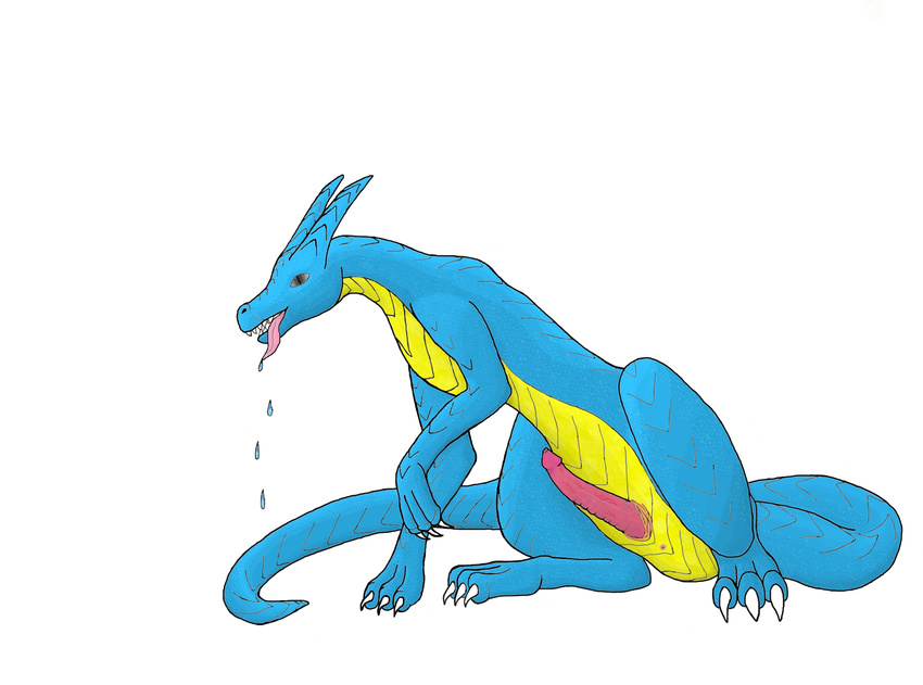 blue blue_body dragon drakonyan_azkar erection feral male no_wings penis plain_background scalie solo tongue unwinged white_background