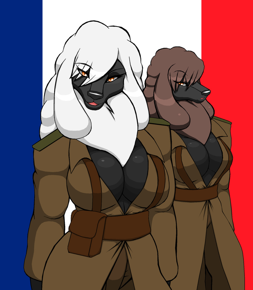 anthro big_breasts black_nose breasts brown_hair canine cleavage clothed clothing dog droll3 duo female france french_flag hair long_hair looking_at_viewer mammal pants parody poodle sibling sisters smile twins white_hair world_war world_war_2 ww2
