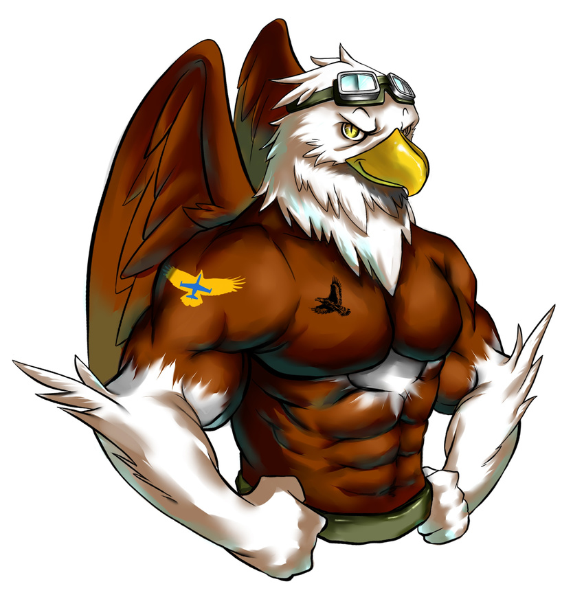 anthro avian bald_eagle beak biceps bird brown_feathers clothed clothing eagle eyewear feathers flexing goggles golden_charlie googles half-dressed male muscles pants pecs plain_background solo tattoo topless white_background white_feathers wings yellow_eyes