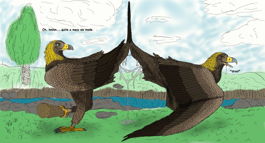 avian bird cloaca cum eagle feral gay golden_eagle male sawyer uppmap123