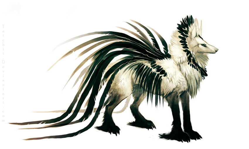 avian canine feral fur hybrid mammal solo tatchit unknown_species white_feathers white_fur