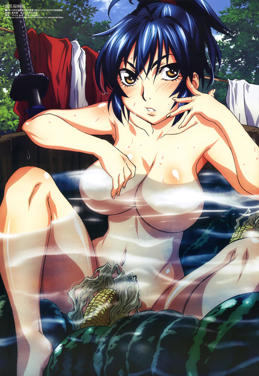 1girl absurdres arm_support armpits bangs bare_legs bare_shoulders barefoot bath bathing blue_hair blush body_blush breasts brown_eyes censored clothes cloud collarbone convenient_censoring corn female fingernails food foreshortening forest fruit hair_between_eyes hands highres katana large_breasts legs long_hair long_image looking_at_viewer manyuu_chifusa manyuu_hikenchou megami nature navel no_nipples nude official_art open_mouth outdoors parted_lips partially_submerged phallic_symbol ponytail scan serious sexually_suggestive shiny shiny_hair shiny_skin sitting sky solo spread_legs sword takagi_jun tall_image tree tub water watermelon weapon wet wet_hair