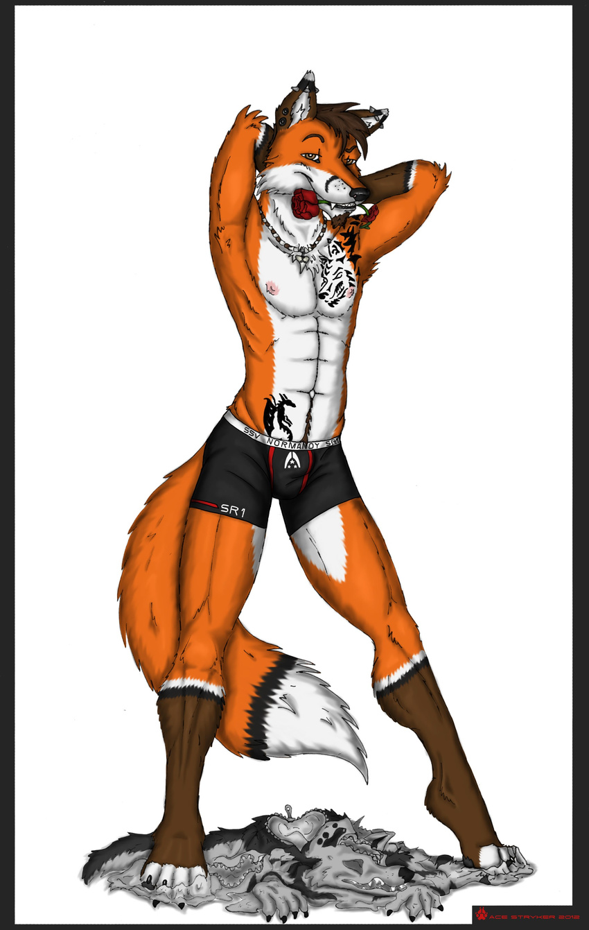 abs ace_stryker anthro biceps boxer brown_hair canine ear_piercing facial_hair flower fox hair looking_at_viewer male mammal mass_effect muscles necklace nipples piercing pose rose solo standing underwear