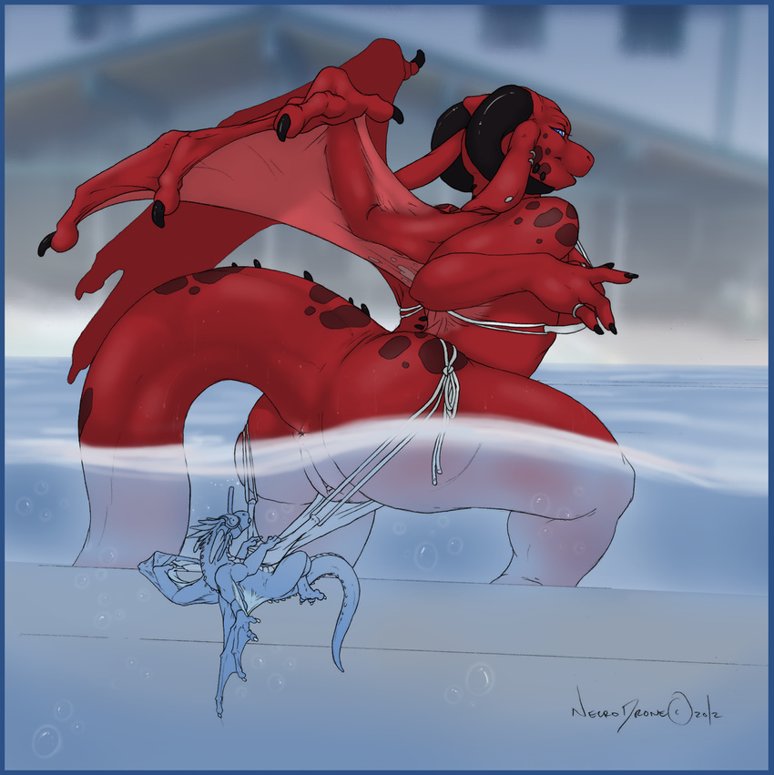 anthro anus bikini butt clothed clothing dragon duo female feral hida horn male necrodrone necrodrone_(character) nude pussy red_dragon scalie size_difference skimpy straight swimsuit tight_clothing underwater water wings