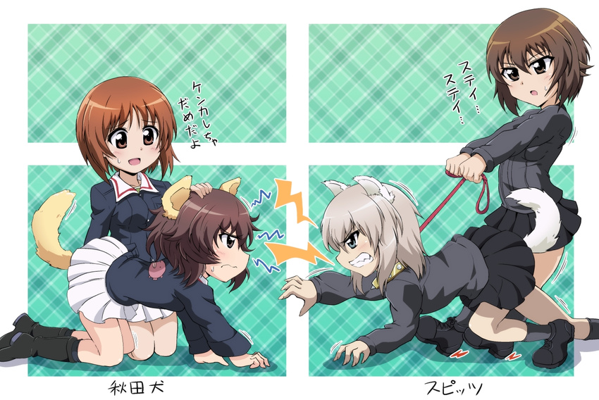 akiyama_yukari all_fours anglerfish animal_ears bangs black_footwear black_legwear black_skirt blue_eyes blue_jacket blush boots brown_eyes brown_hair collar dog_ears dog_tail dress_shirt emblem fang fume girls_und_panzer green_shirt grey_legwear grey_shirt itsumi_erika jacket kemonomimi_mode kneeling kuromorimine_military_uniform leash loafers long_sleeves maru_takeo messy_hair military military_uniform miniskirt multiple_girls nishizumi_maho nishizumi_miho ooarai_military_uniform open_mouth pleated_skirt school_uniform shirt shoes short_hair silver_hair skirt smile socks standing sweatdrop tail translated uniform white_skirt