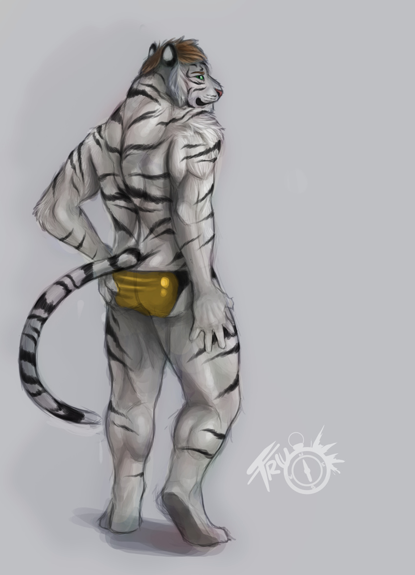 back brown_hair davidtigerific feline green_eyes hair hindpaw looking_at_viewer looking_back male mammal paws plain_background solo standing stripes tiger trunorth underwear white_tiger